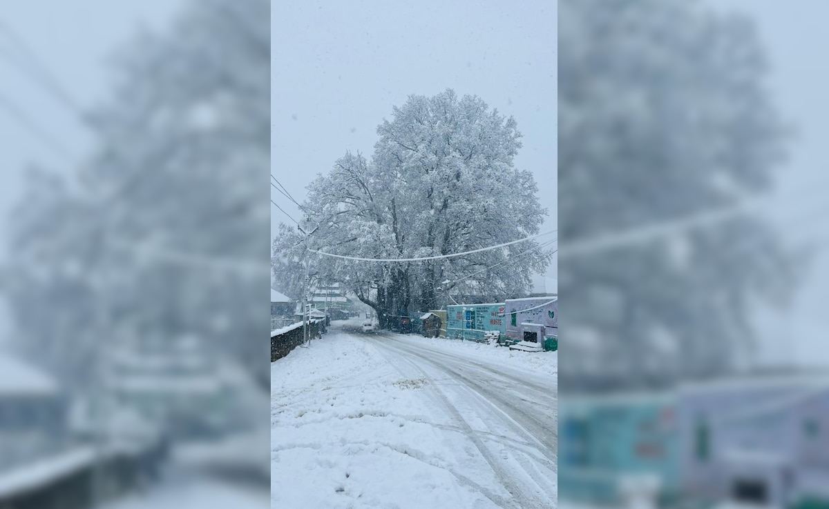 Latest and Breaking News on NDTV Latest and Breaking News on NDTV