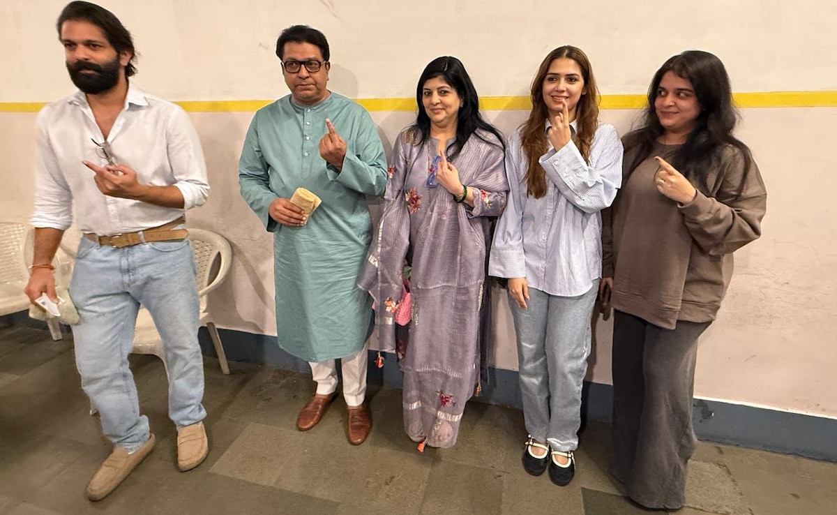 "Ink Mark Can Be Wiped Off With Sanitiser": Raj Thackeray After Voting In Mumbai