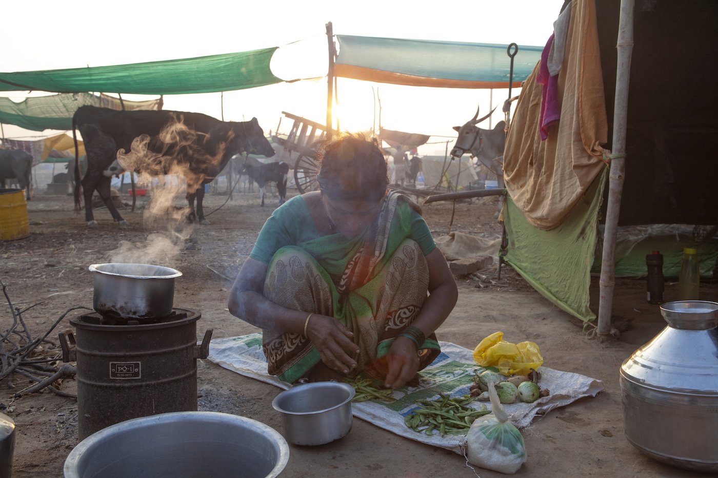Families Separated By The Search For Fodder&nbsp;