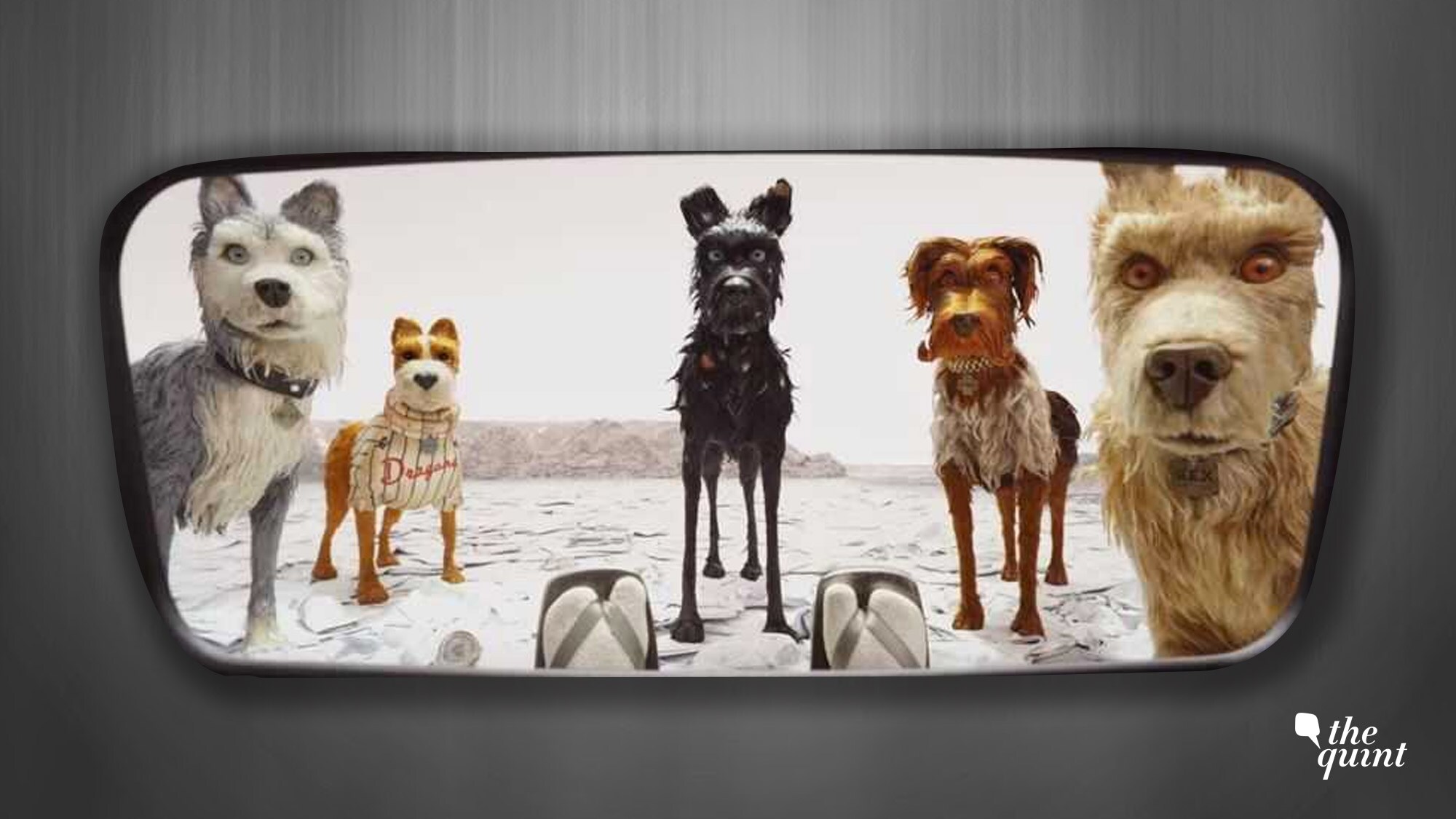 Dogs Are People Too &ndash; At Least in Wes Anderson&rsquo;s Films