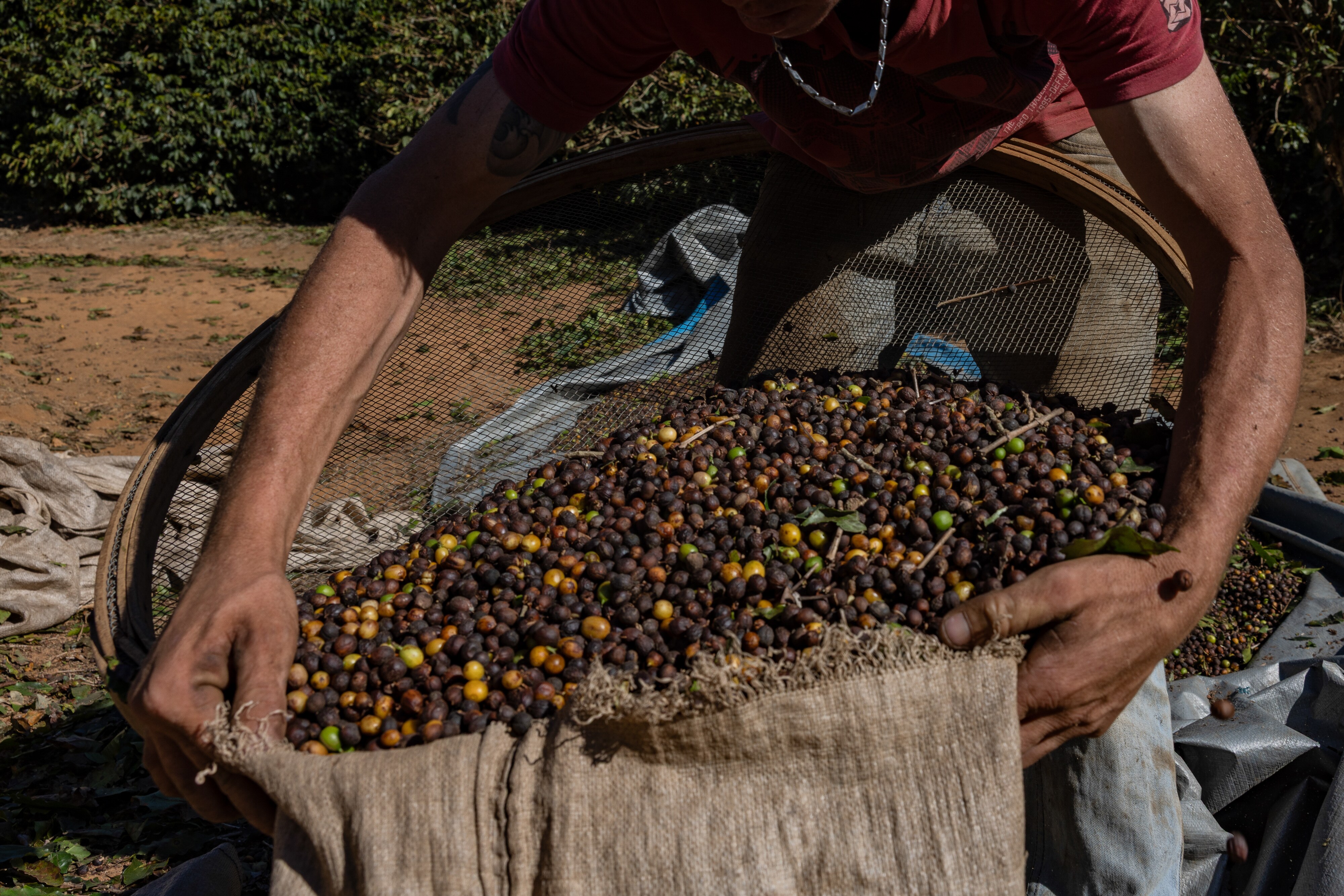 The World&rsquo;s Top Coffee Producer Is Switching Up Its Beans. What That Means For You