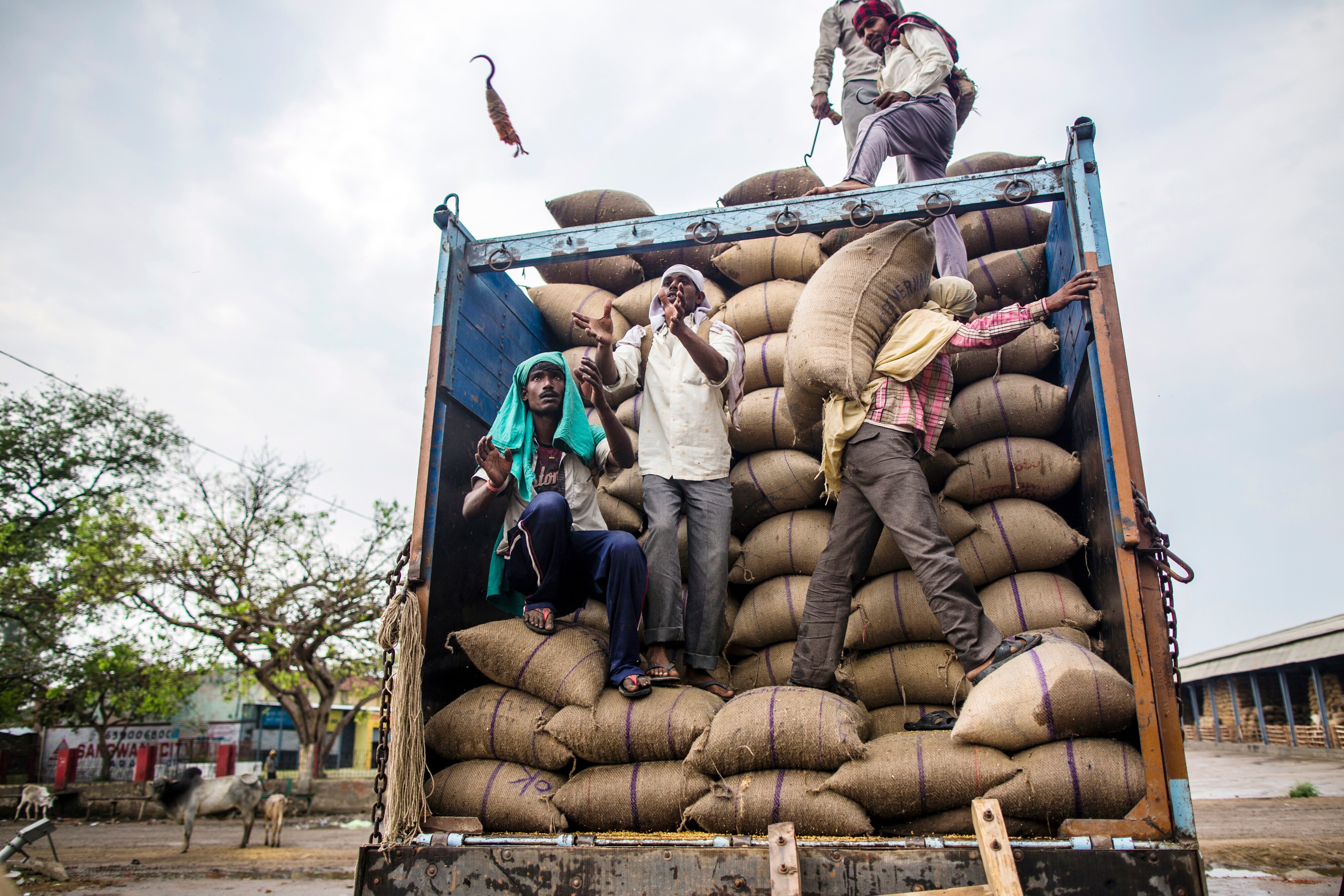 Government Hikes Customs Duty On Wheat To 40%