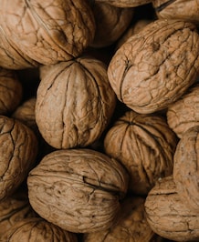 Nutrients Necessary For The Brain