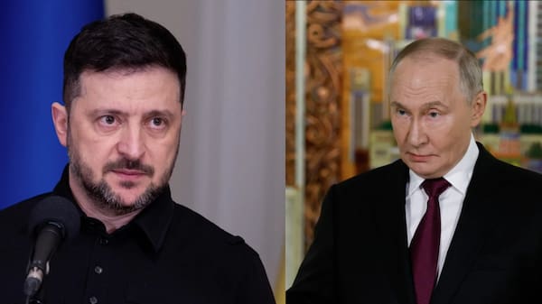 'No Airstrikes On Our Part': Zelensky Proposes Ceasefire With Russia