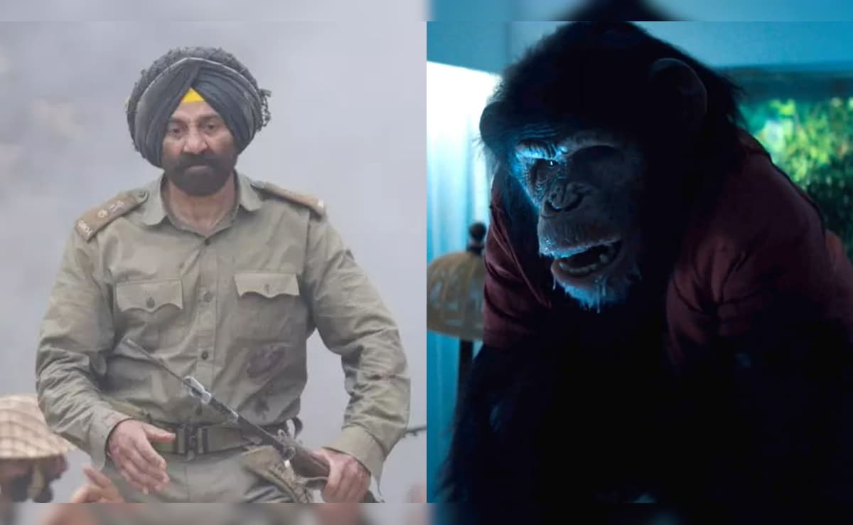सनी देओल की 'बॉर्डर 2' की राह रोकेगा रेबीज वाला चिम्पांजी, 23 जनवरी को बॉक्स ऑफिस पर दिलचस्प मुकाबला