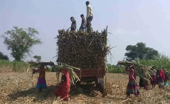 Industry Body Ficci For Hike In Farmer Income Support