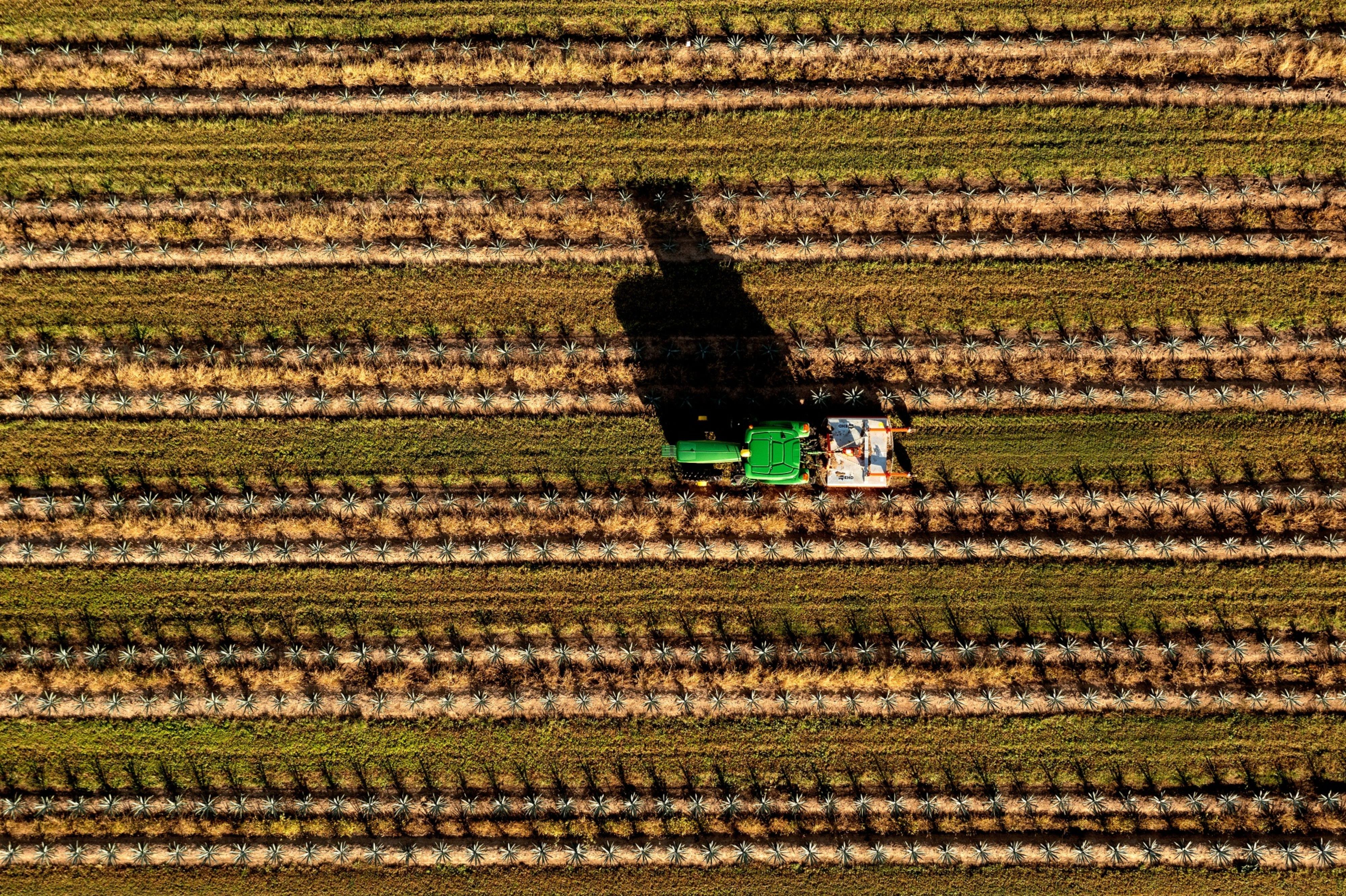 VST Tillers - Stable Performance, On Well Charted Growth Path: ICICI Direct