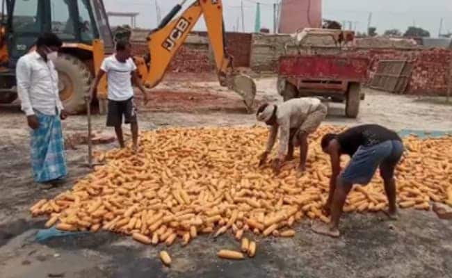 Government Okays Hiked Support Price For Kharif Crops