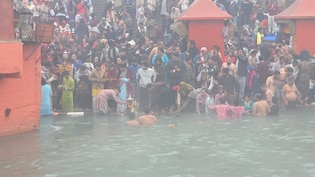 मकर संक्रांति कब है? जानें स्नान-दान से लेकर पूजा तक शुभ मुहूर्त तक सारे सवालों का जवाब