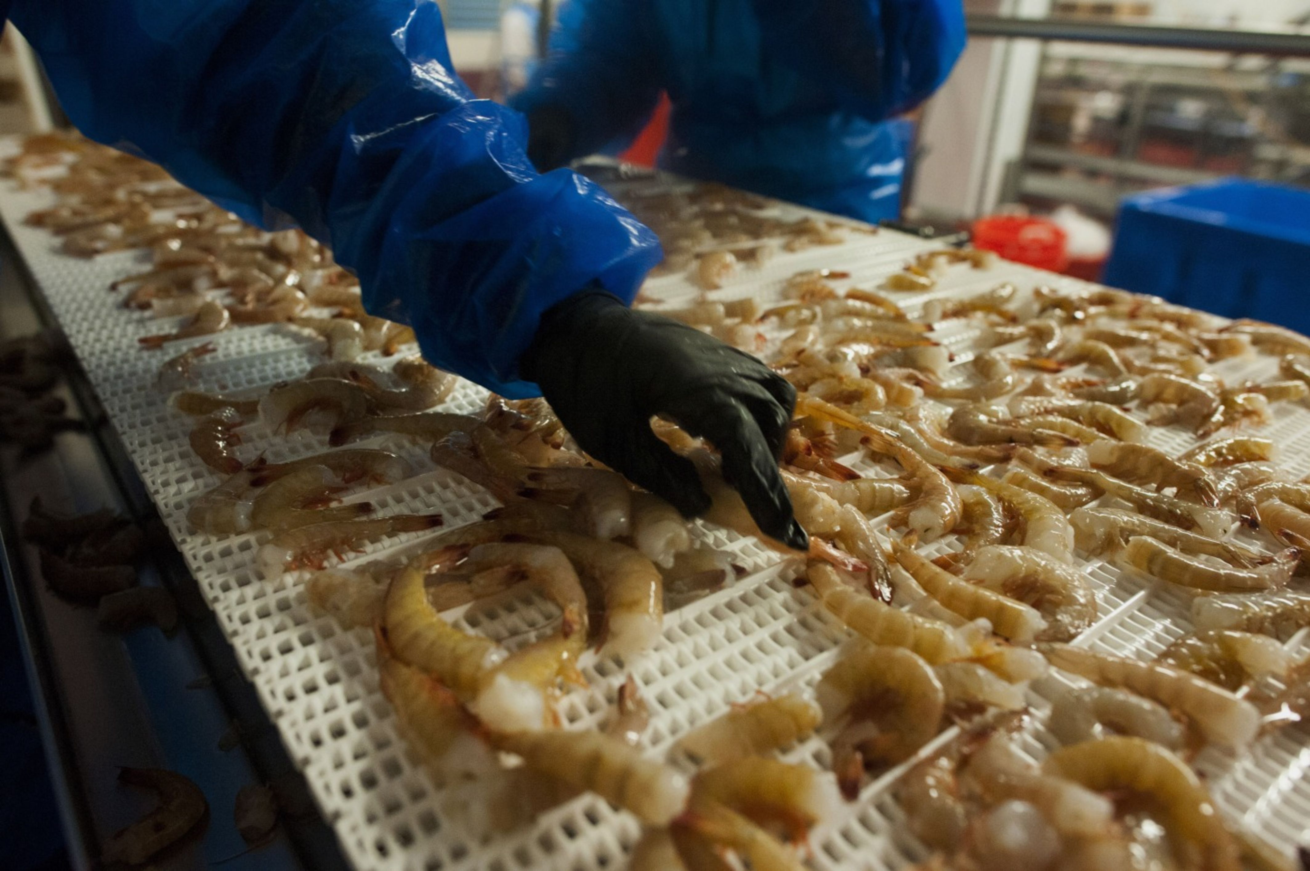 Apex Frozen Foods - Reopening Of Markets Provides A Positive Sign: Geojit