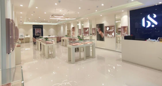 BlueStone Jewellery IPO: Company Sets Price Band At Rs 492-517; Check Other Details