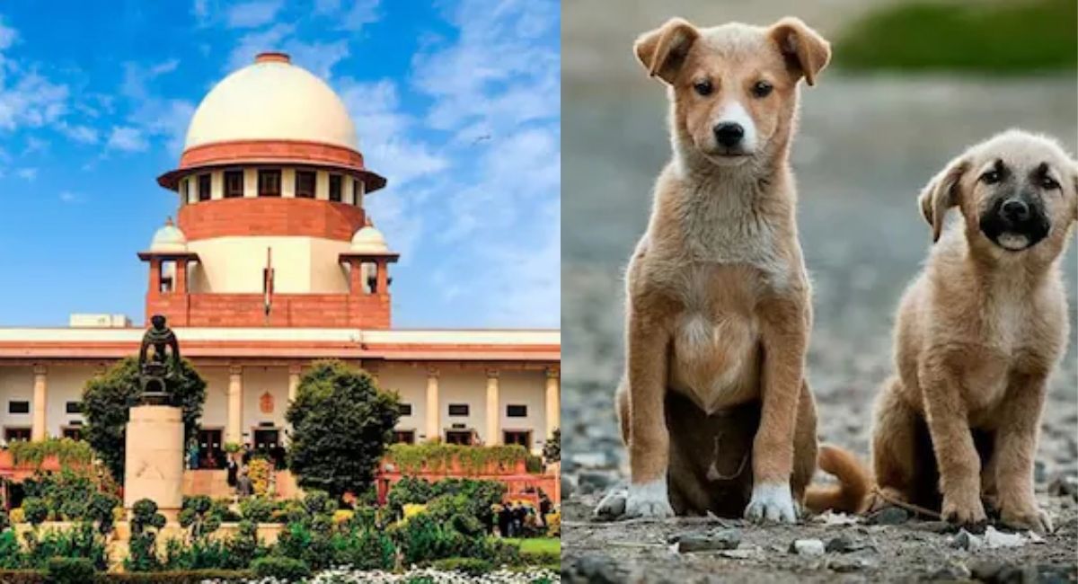 आवारा कुत्तों पर सुप्रीम सुनवाई, अब सबकी मन की बात सुन रहा है कोर्ट, सिब्बल दे रहे दलील