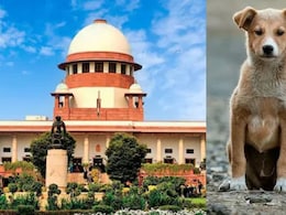 सुप्रीम कोर्ट बोला- कुत्ता कब काट दे, आप उसका दिमाग नही पढ़ सकते