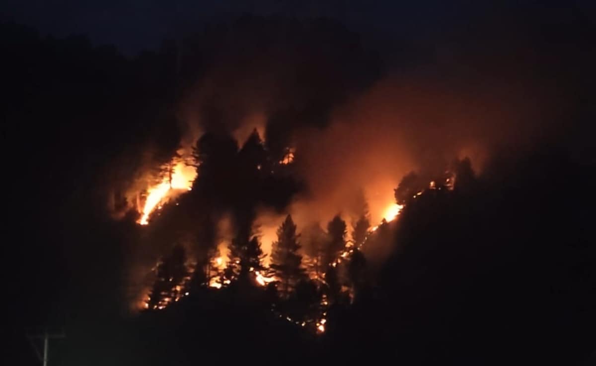 Forest Fire Triggers Multiple Landmine Blasts Near Line Of Control In J&K