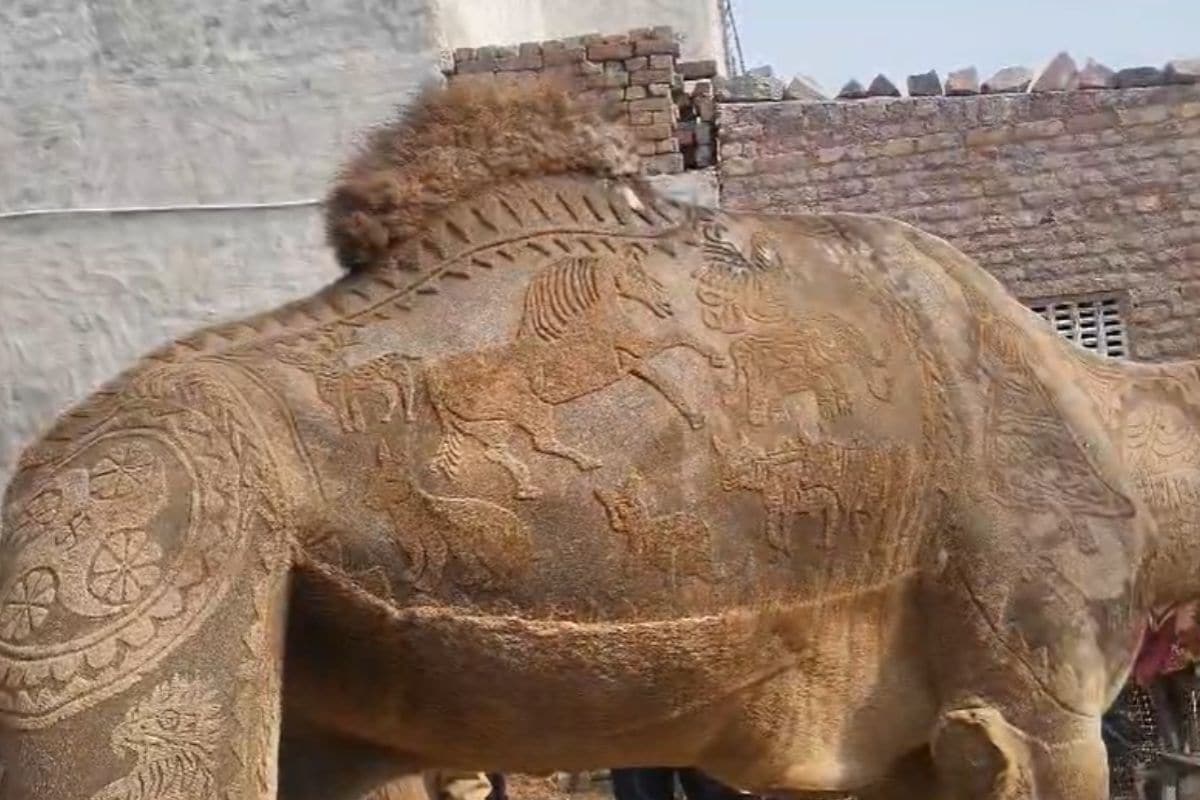 Latest and Breaking News on NDTV Latest and Breaking News on NDTV