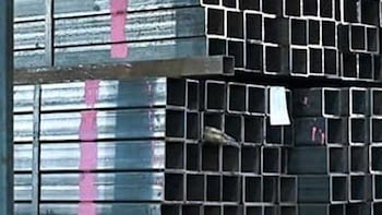 Sambhv Steel's Stainless Steel Bet Raises the Stakes on Capacity Growth