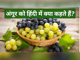 अंगूर को हिंदी में क्या कहते हैं? जानें रोचक नाम और फायदे