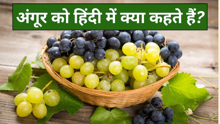 अंगूर को हिंदी में क्या कहते हैं? जानें रोचक नाम और फायदे