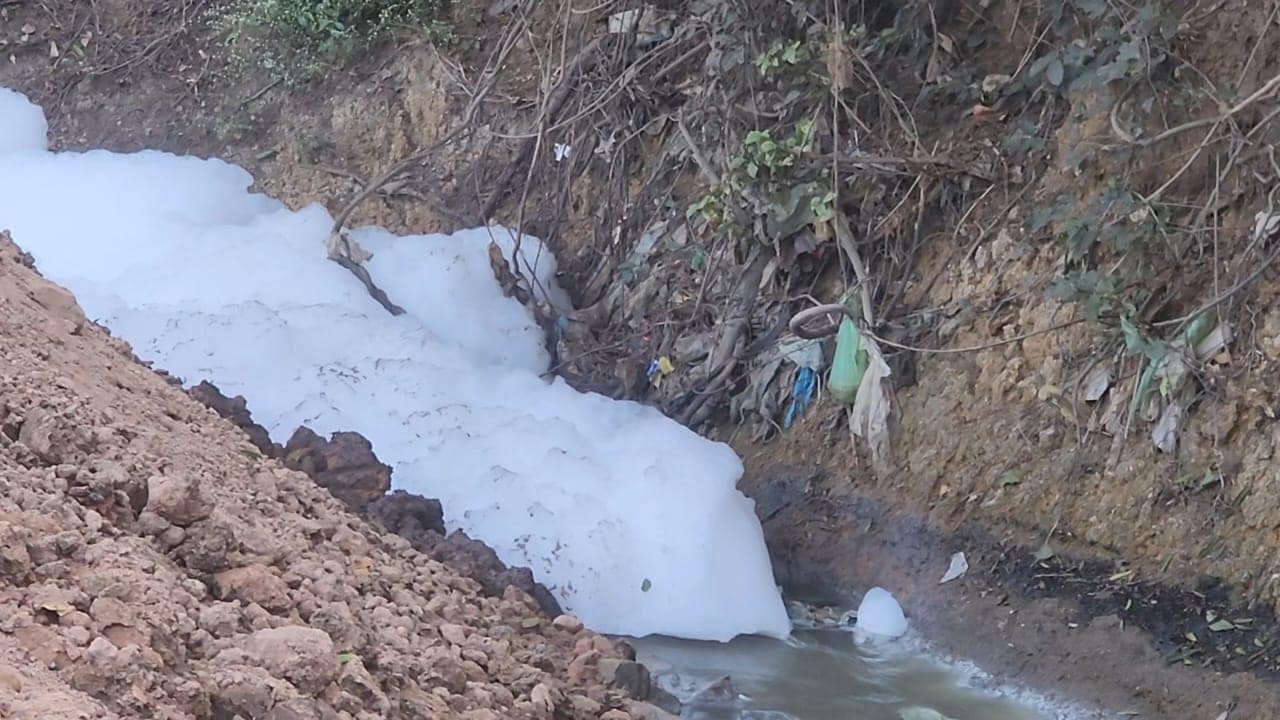 Betwa River: जहरीला झागयुक्त पानी