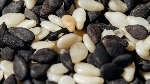 Women's Health: डॉक्टर ने बताया हर महिला को खाने चाहिए ये 5 बीज, बीमारियां रहेंगी दूर