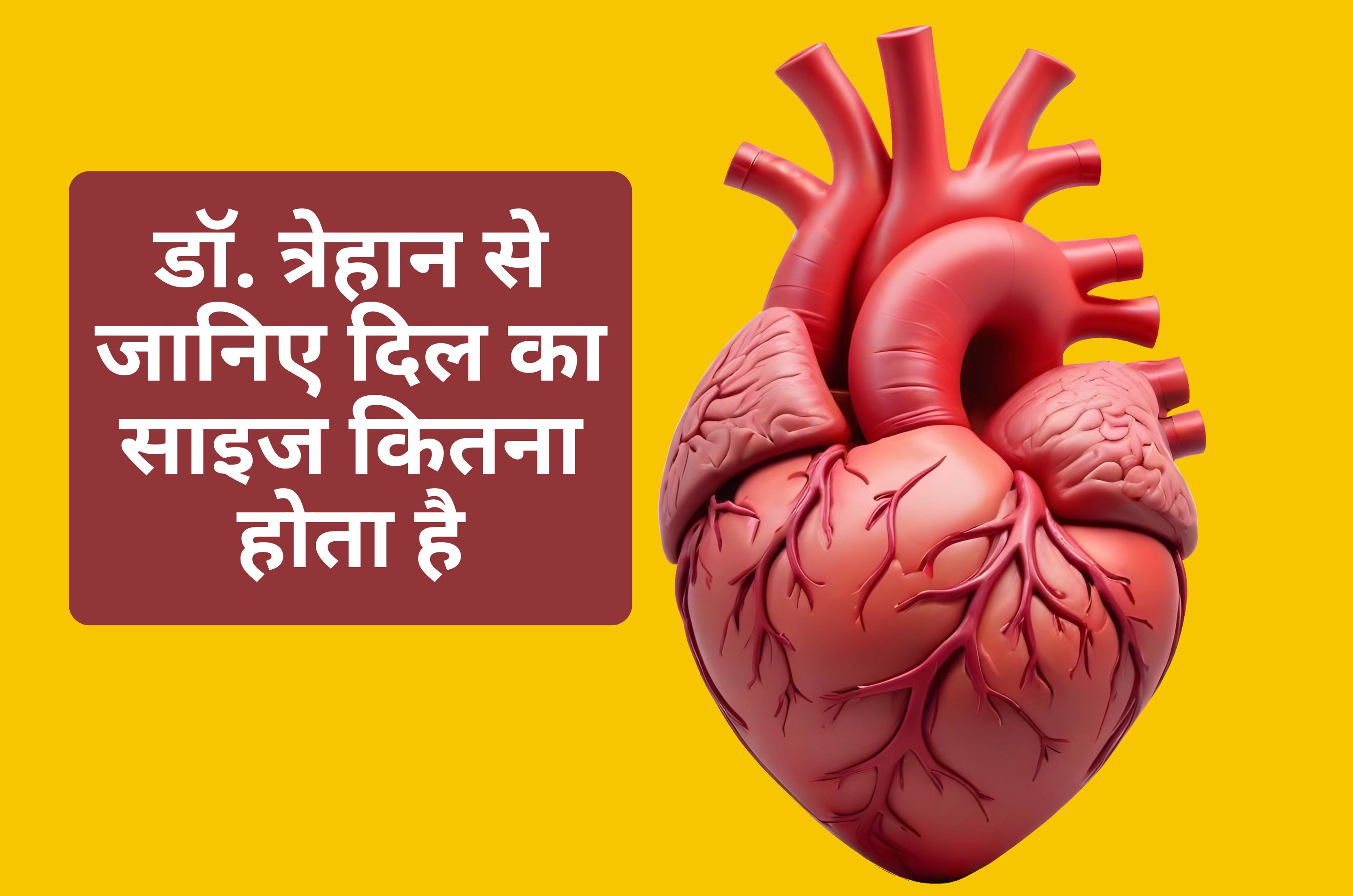 दिल का साइज कितना होता है? हार्ट स्पेशलिस्ट डॉ. नरेश त्रेहान से जानें Heart से जुड़ी जरूरी बातें