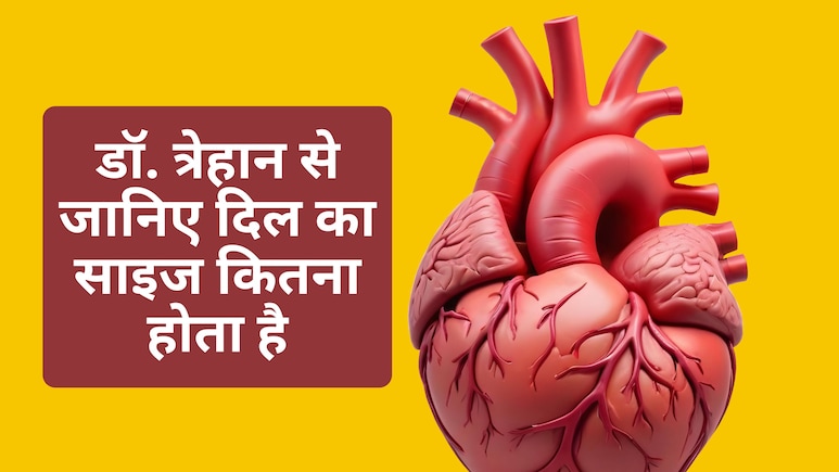 दिल का साइज कितना होता है? हार्ट स्पेशलिस्ट डॉ. नरेश त्रेहान से जानें Heart से जुड़ी जरूरी बातें
