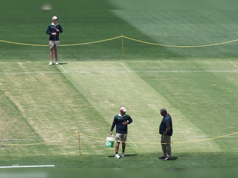 Sydney Cricket Ground Curator Confident In Pitch Colour Ahead Of 5th Ashes Test
