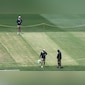 Sydney Cricket Ground Curator Confident In Pitch Colour Ahead Of 5th Ashes Test