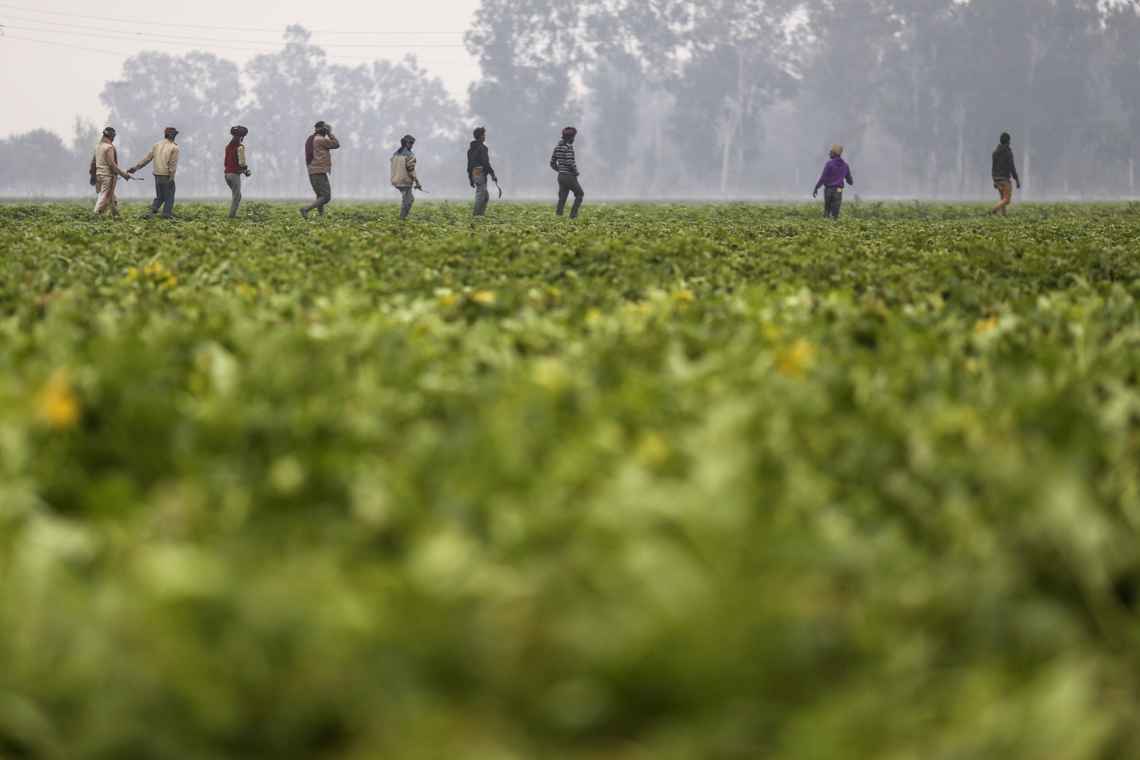 Jharkhand: Nourishing India And The World  &nbsp;