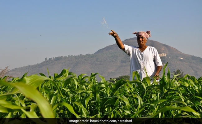 Government Likely To Overshoot Fertiliser Subsidy Bill By Rs 30,000 Crore: Report
