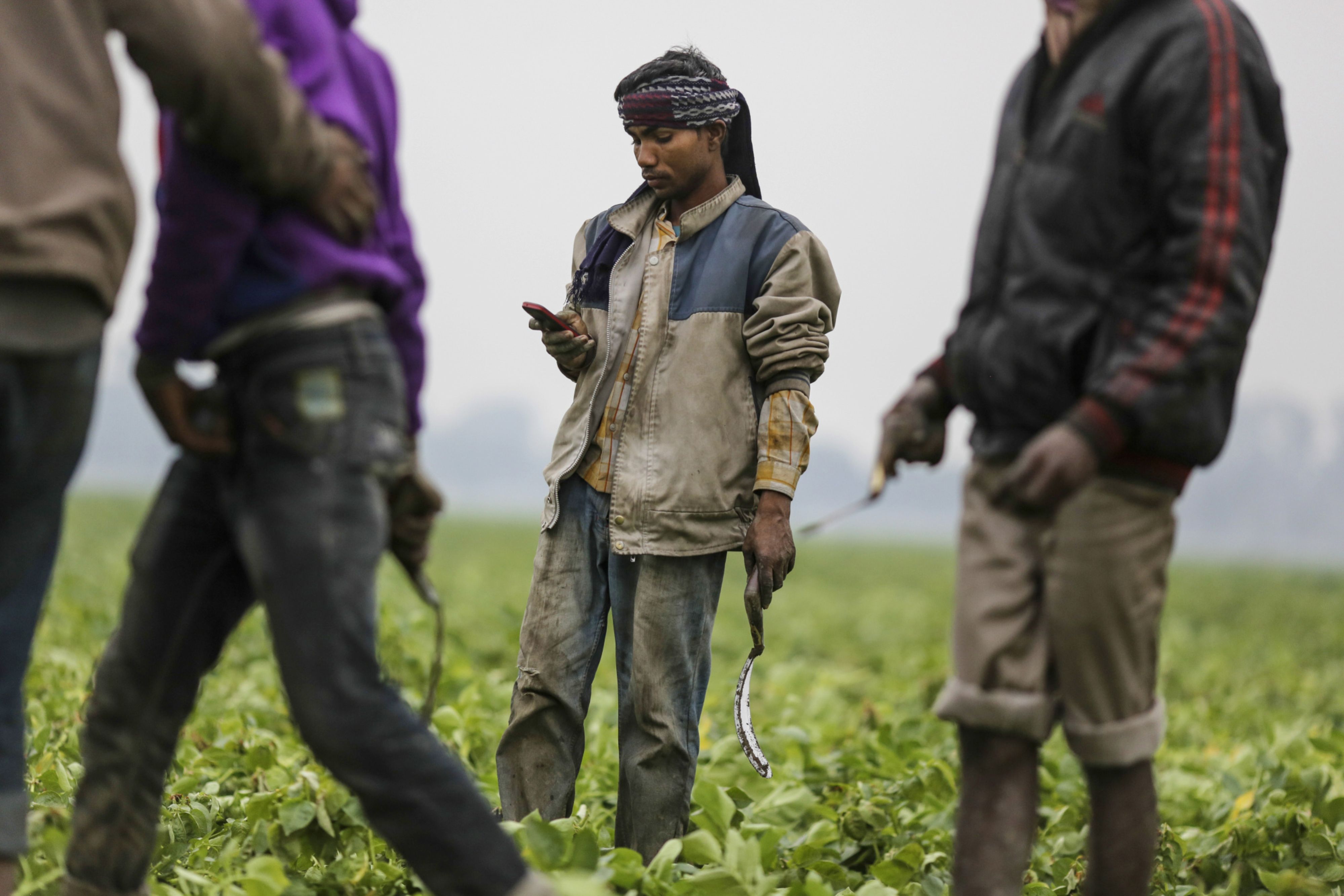 Coronavirus Fallout: Harvest Season Disruptions Feared Amid Country-Wide Lockdown