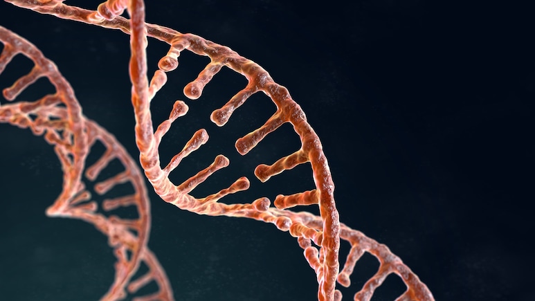 Alpha Genome: Google Deepmind Unveils AI Model To Help Scientists Identify Disease-Causing Genes