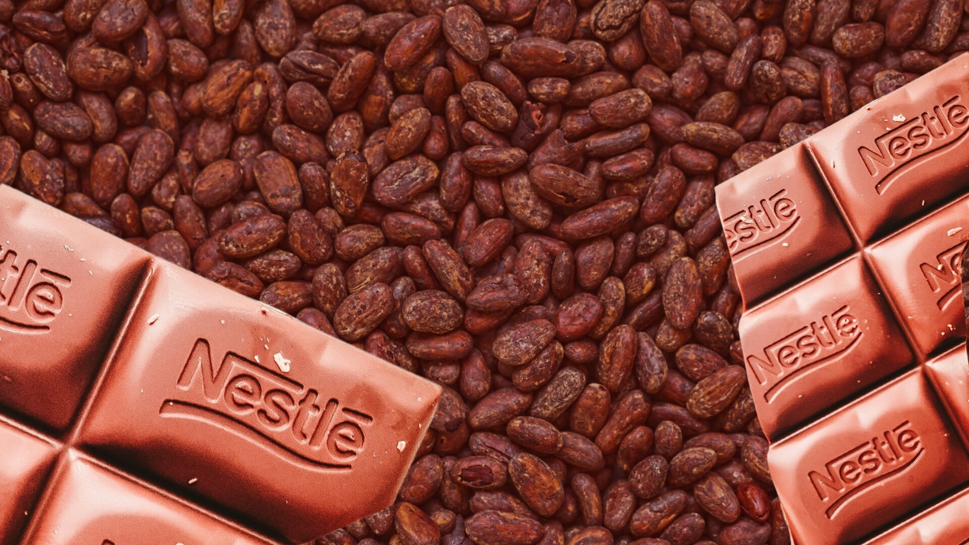 Cracking The Code To More Chocolate From A Regular Cocoa Pod: Nestlé ...