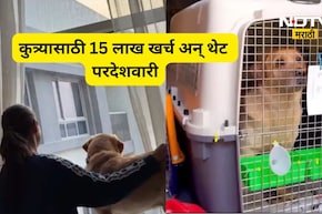 Dog lovers: कुत्र्यासाठी काही पण! आधी दुबईला नेलं मग ऑस्ट्रेलियाला आणलं, 15 लाख खर्च करून त्यांनी...