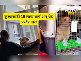 Dog lovers: कुत्र्यासाठी काही पण! आधी दुबईला नेलं मग ऑस्ट्रेलियाला आणलं, 15 लाख खर्च करून त्यांनी...
