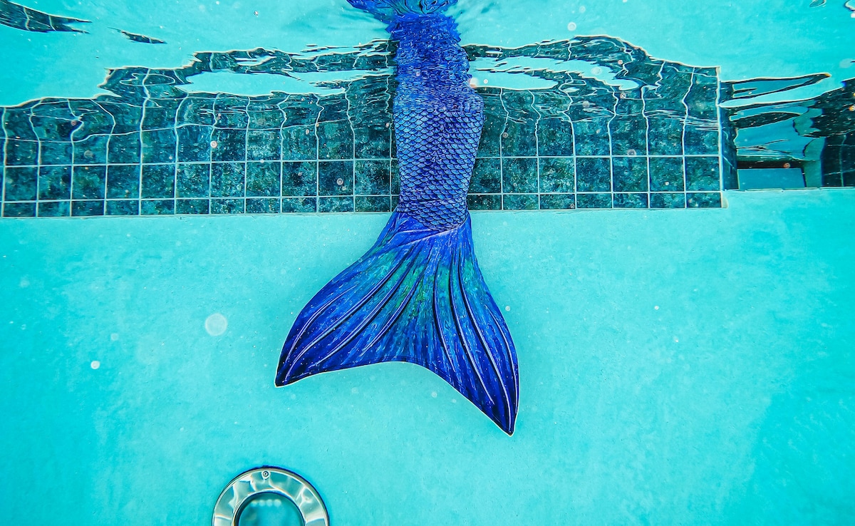 The Art of Baking: From Classic Bread to Artisan Pastries