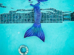 US Woman Arrested 'Trying To Be A Mermaid' In Neighbour's Pond, Assaulting Police Officer