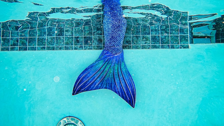 US Woman Arrested 'Trying To Be A Mermaid' In Neighbour's Pond, Assaulting Police Officer