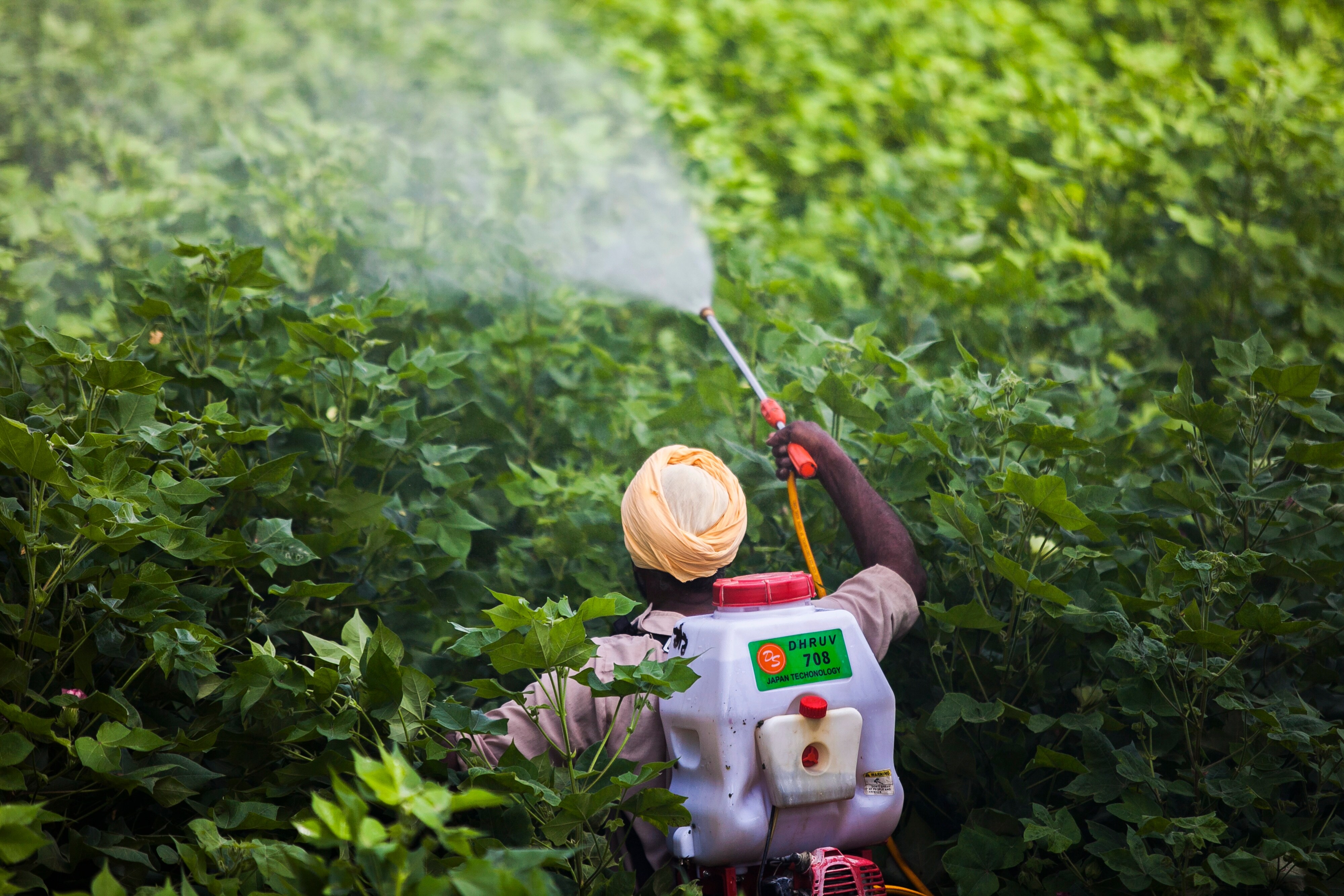 Fertiliser Stocks Rally On Subsidy Extension