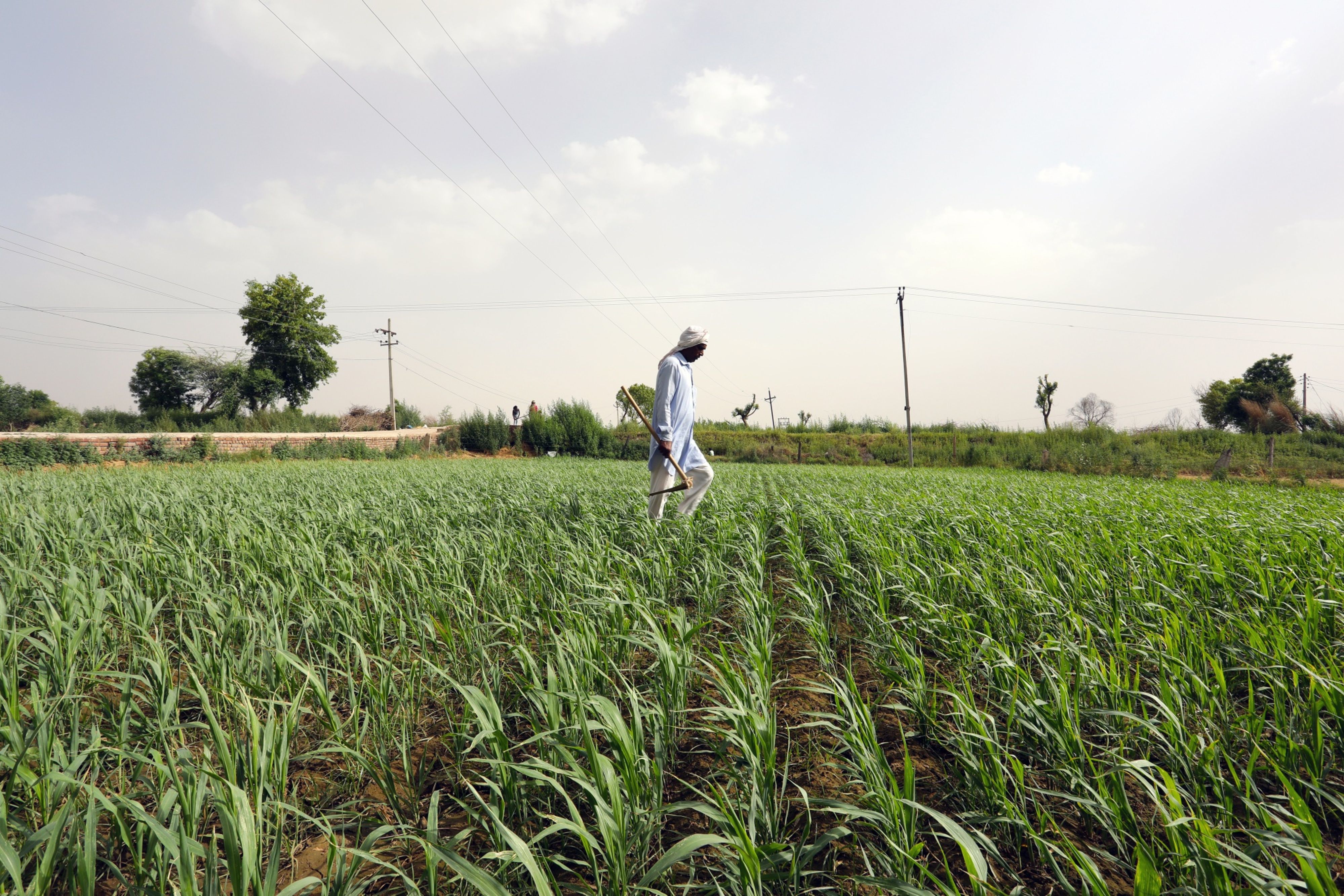 ITC&rsquo;s Sanjiv Puri To Lead 15th Finance Commission&rsquo;s Panel On Agri Reforms