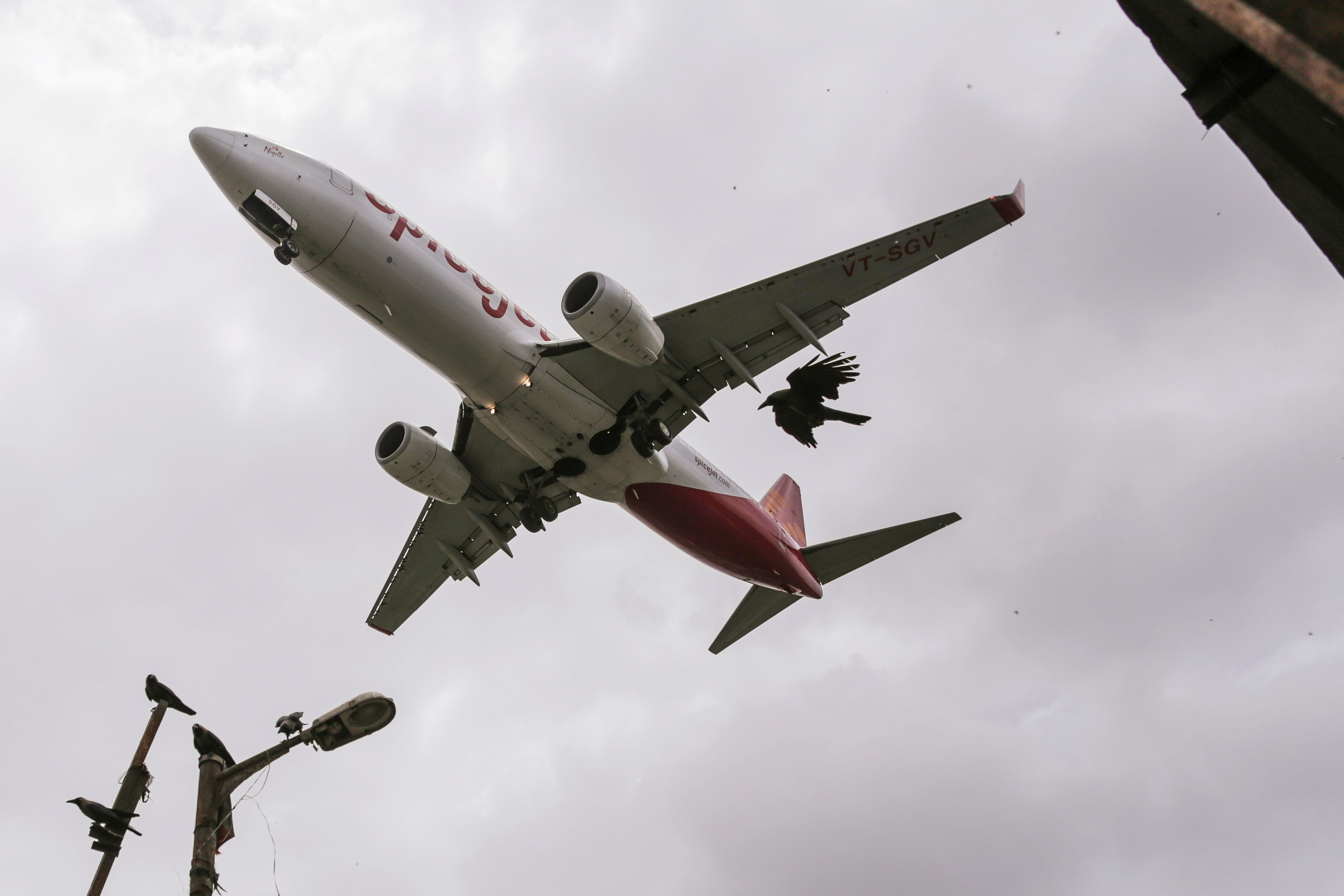 AirAsia, SpiceJet On Regional Connectivity, Need To Bring ATF Under GST&nbsp;