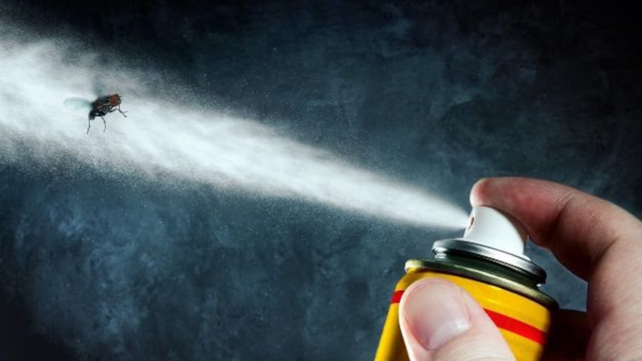 Be Pest-Free: 5 Top-Rated Insecticide Sprays from Flipkart Grocery Be Pest-Free: 5 Top-Rated Insecticide Sprays from Flipkart Grocery