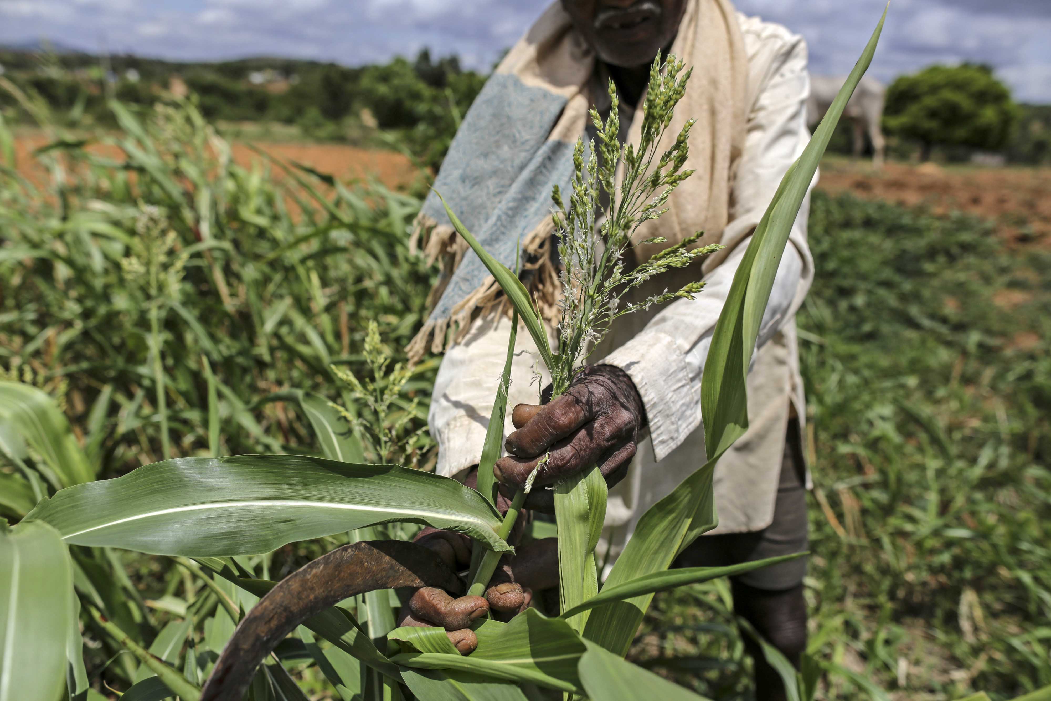 Cabinet Likely To Approve Package For Farmers On Monday