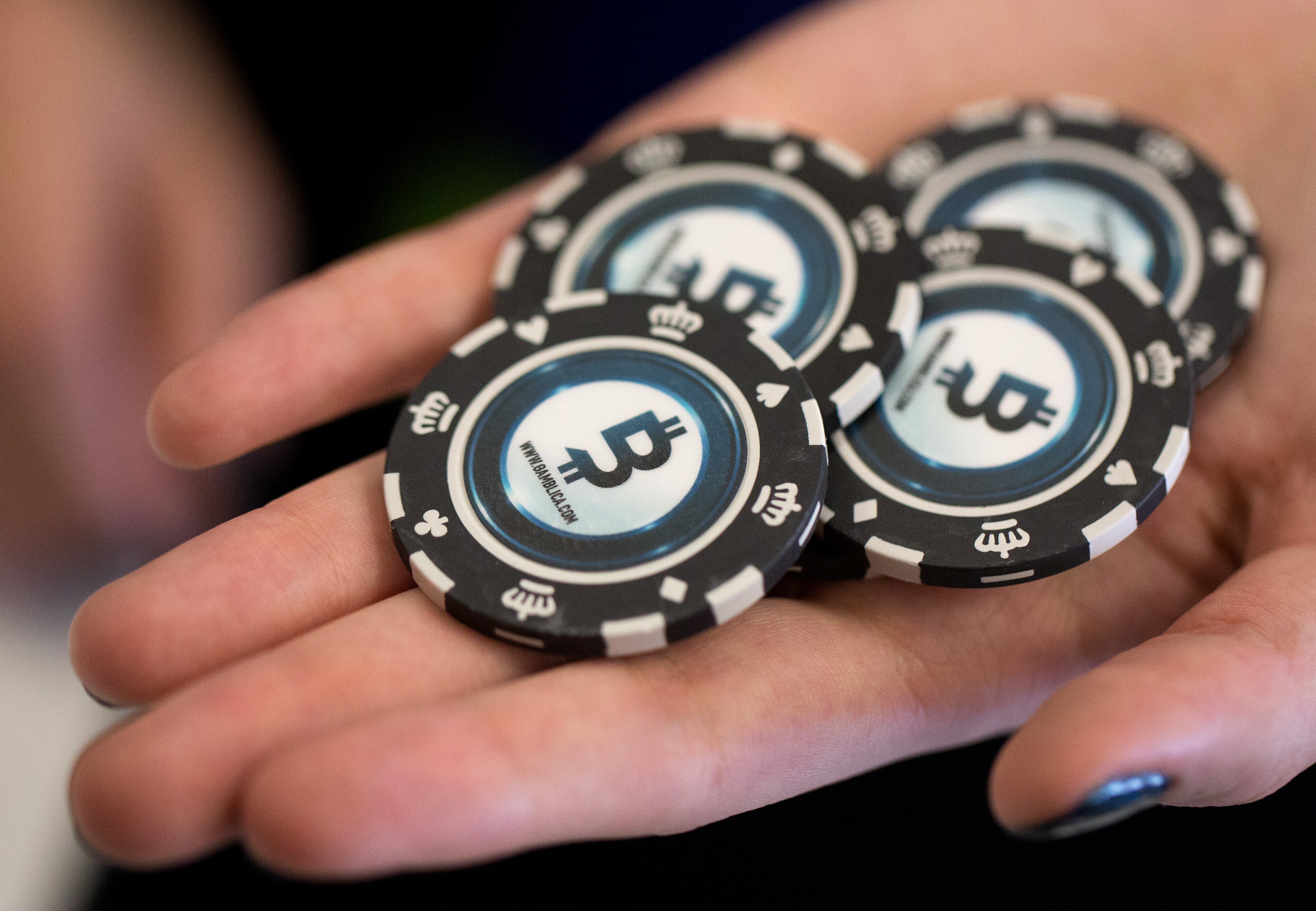 Bitcoin Rally Boosts Smaller Cryptos Litecoin, Ether to Records