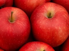 Is Apple Milkshake Bad For Digestion? Ayurveda Health Expert Explains The Truth