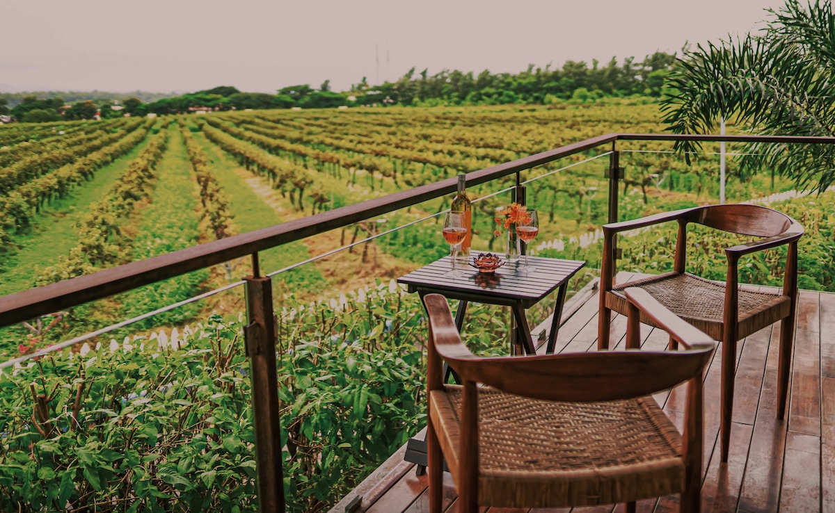 Which Indian City Is Called The City Of Grapes