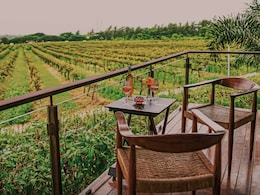 Which Indian City Is Called The City Of Grapes? Complete Guide To Where To Stay & What To Do