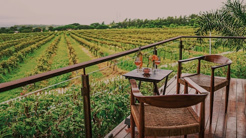 Which Indian City Is Called The City Of Grapes? Complete Guide To Where To Stay & What To Do