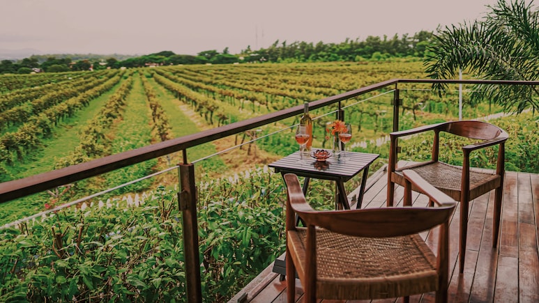 Which Indian City Is Called The City Of Grapes? Complete Guide To Where To Stay & What To Do