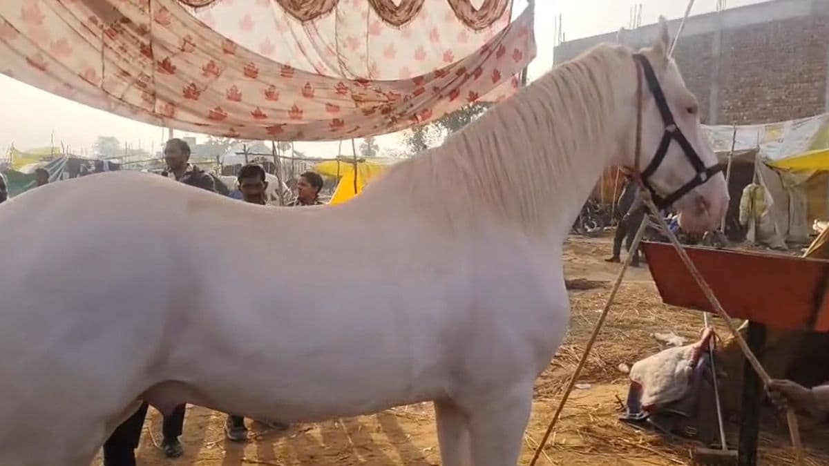 Latest and Breaking News on NDTV Latest and Breaking News on NDTV